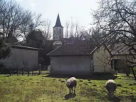 Castagnède (Pyrénées-Atlantiques)