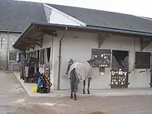 Photo d'une partie d'une écurie avec un cheval au premier plan sans selle cachant son cavalier bombé.