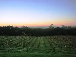 Paysage du vignoble gascon à Castelnau-d'Auzan.