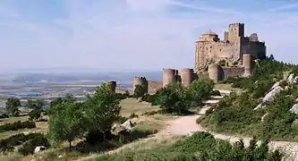 Vue d'un château fort.