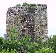 Vestiges du château d'Alouston, classée