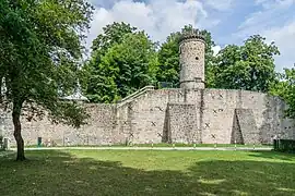 Ruine du château de Tecklembourg