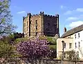 Le château vue du donjon