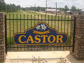 Castor (Louisiane)