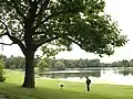 Exemplaire du parc du Musée royal de l’Afrique centrale (Belgique).