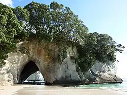 Photographie couleur d'une arche calcaire couverte de végétation en bord de mer