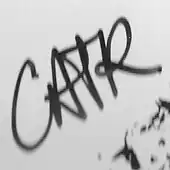 signature de Catherine Ringer