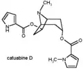 Catuabine D