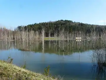 En mars 2016, inondation du Caudeau en limites de Creysse et Lembras.