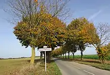 Sortie du village : route bordée d'arbres vers la D 1029.