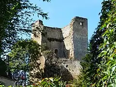 Les ruines du donjon.