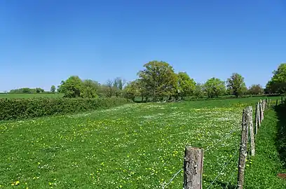 Le Boischaut Sud à Ceaulmont, dans le sud.