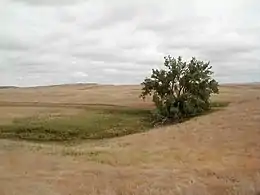 Cedar River National Grassland.