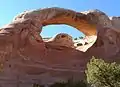 La boucle des arches commence par une descente difficile à travers Cedar Tree Arch.