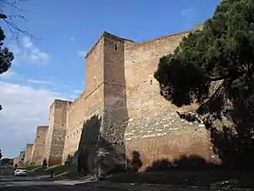 Vue d'un long mur et de tours avec au premier plan des arbres.