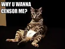 A picture of a striped cat in an apparent seated position with its legs spread, looking at the camera. In the upper left corner is the text “Why U Wanna Censor Me?” in white capital letters