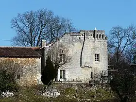 Le mur sud du manoir de la Calonie.