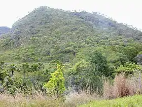 Vue de la savane du Cerrado, à Goiás, au centre-ouest du Brésil.