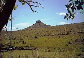 Le cerro Batoví s'inscrit sur une ligne abrupte du versant oriental de la Cuchilla de Haedo.