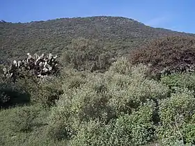 Vue du cerro Mesa Ahumada.