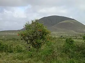 Vue du Cerro Pajas.