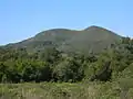 Les cerros chatos dans le département de Rivera, un exemple typique de collines aplaties dans la Cuchilla de Haedo.