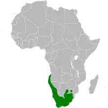 carte de répartition de Certhilauda