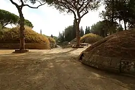 Photographie montrant un chemin entouré de pins méditerranéens avec un tumulus circulaire sur le côté gauche.