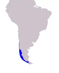 Description de l'image Cetacea_range_map_Chilean_Dolphin.PNG.