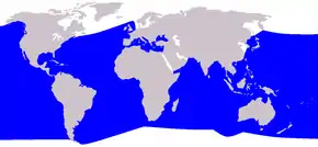 Planisphère de couleur grise représentant en bleu la présence de la Baleine à bec de Cuvier dans le monde (océans du monde entier, sauf les océans glacials ou la mer Baltique notamment).