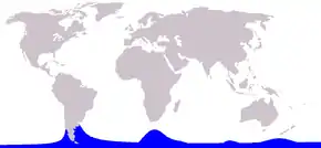 Description de l'image Cetacea_range_map_Hourglass_Dolphin.PNG.