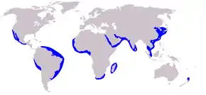 Aire de répartition du Dauphin commun longirostre