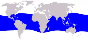 Description de l'image Cetacea_range_map_Melon-headed_Whale.PNG.