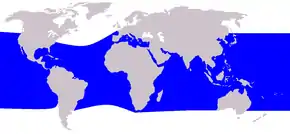 Description de l'image Cetacea_range_map_Rough-toothed_Dolphin.PNG.