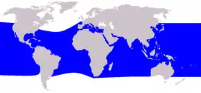 Aire de répartition du Sténo