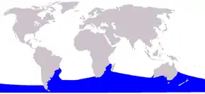 Aire de répartition de la Baleine franche australe