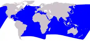 Description de l'image Cetacea range map Striped Dolphin.PNG.