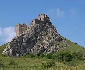 Image illustrative de l’article Citadelle de Trascău