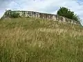 Ruines de la forteresse de Dăbâca