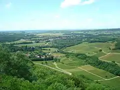 Vue de la plaine et du vignoble.