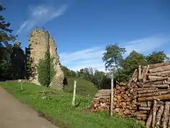 Vestiges du Donjon du château fort de Chateau-Chalon (IXe, XIIIe et XVe siècle)