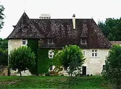 Le château de Daille.