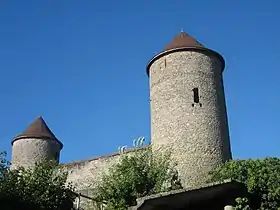 Image illustrative de l’article Château de Bonneville (Haute-Savoie)