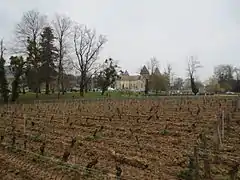 Vignoble du château