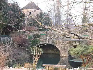 Le fossé du château d'Igé.