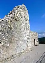 Ruines du château.