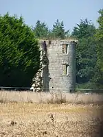 Ruine du château d'Yvignac.