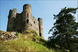 Château d'Alleuze, dominant le ruisseau des Ternes et les gorges, 2009