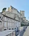 Château de Beaucaire vu depuis la digue de la Banquette