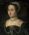 Jeanne III, reine de Navarre (1555-1572).